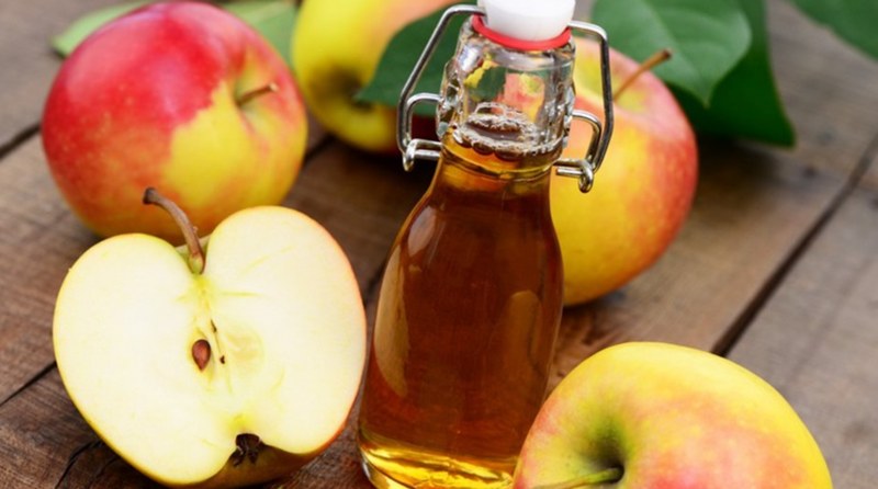 Cách diệt bọ chét trên thú cưng