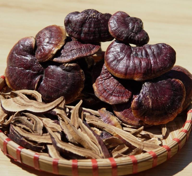 Nấm lim xanh là gì? Giá trị dược liệu và cách sử dụng